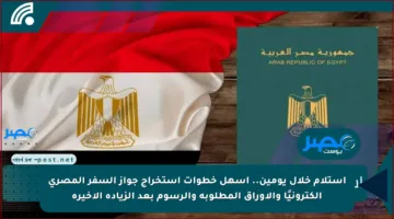 استلام خلال يومين.. أسهل خطوات استخراج جواز السفر المصري إلكترونيًا والأوراق المطلوبة والرسوم بعد الزيادة الأخيرة